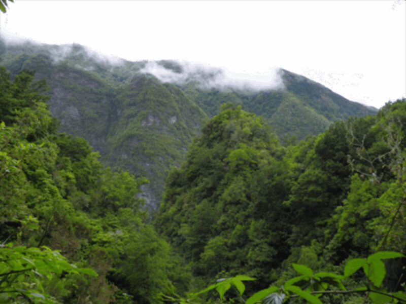Queimadas Caldeirão Verde Walking tour with guide - Frequently Asked Questions