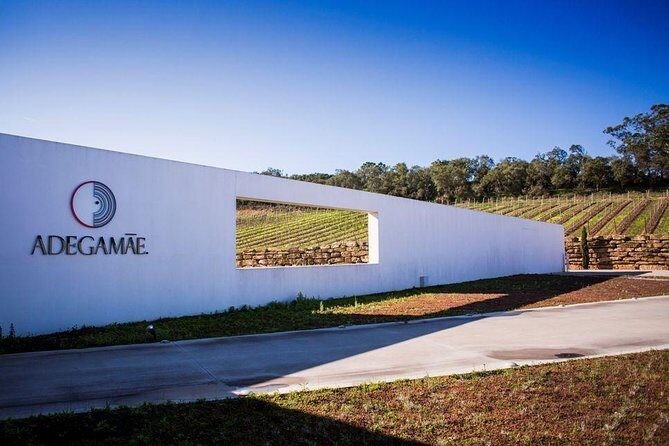 Queluz / Mafra / Ericeira / Adega Mãe Private tour - Final Thoughts