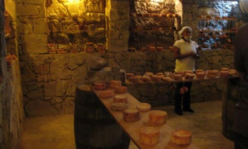 Querétaro: Cheese and Wine Tasting Tour - Who is this tour best suited for?