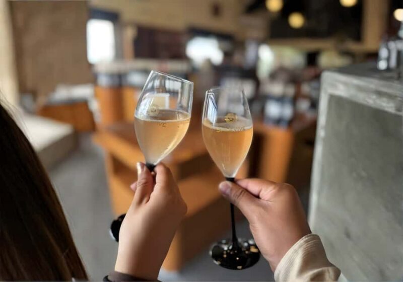 Queretaro: Cheese & Wine Tour (English) - Who Would Love This Tour?