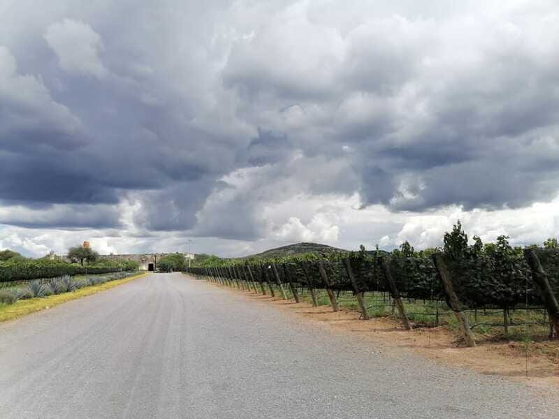 Querétaro: Experience Tour of Hacienda Atongo - Frequently Asked Questions