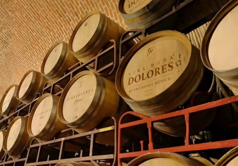 Querétaro: Peña de Bernal y Cavas de Freixenet - The Itinerary: What to Expect