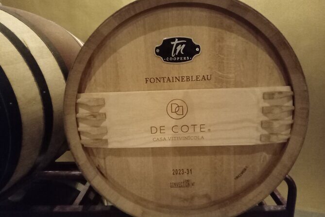 Queretaro Wine Experience - Practical Tips for Travelers