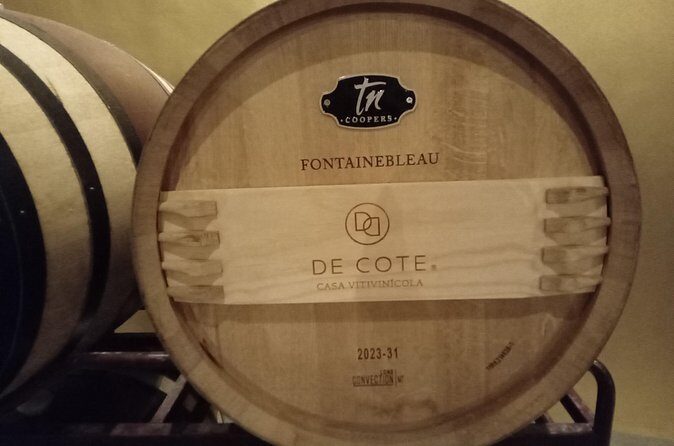 Queretaro Wine Experience - Final Thoughts