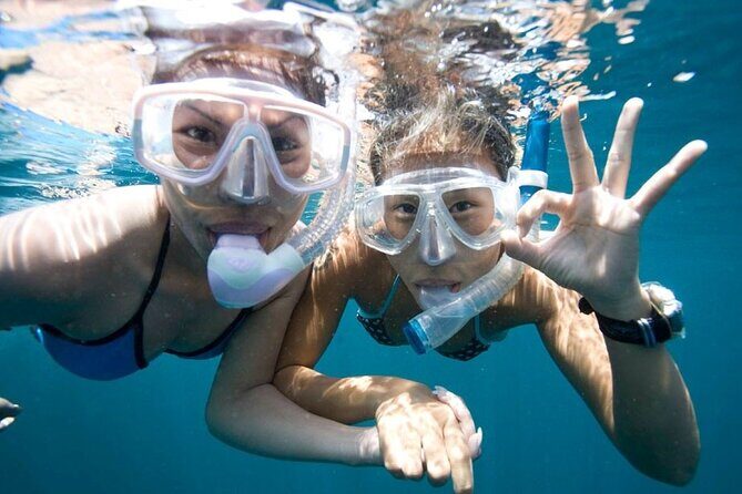 Quick & Easy Snorkel Trip from Kailua Pier - Exploring the Quick & Easy Snorkel Trip from Kailua Pier