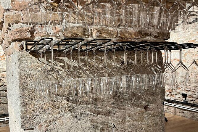 Quick Wine Tasting in Michalská - What to Expect During the Tour