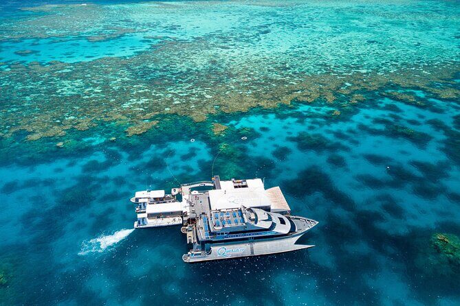 Quicksilver Great Barrier Reef Snorkel Cruise from Port Douglas - Exploring Agincourt Reef: What’s on Offer