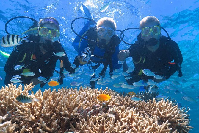 Quicksilver Great Barrier Reef Snorkel Cruise from Port Douglas - Authentic Experiences from Travelers