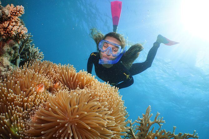Quicksilver Great Barrier Reef Snorkel Cruise from Port Douglas - Who Should Consider This Tour?