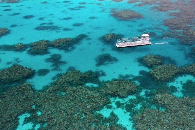 Quicksilver Great Barrier Reef Snorkel Cruise from Port Douglas - FAQ