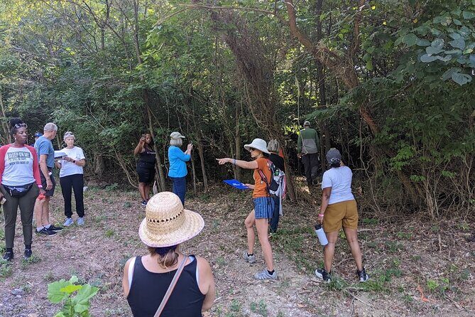 Quindaro Ruins Urban Hike - Who Is This Tour Best For?