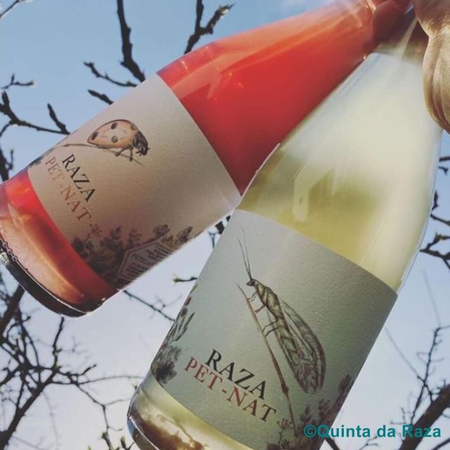 Quinta da Raza Natural Wines - Key Points