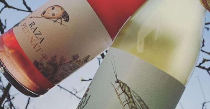 Quinta da Raza Natural Wines - An In-Depth Look at Quinta da Raza Natural Wines Tour