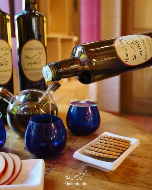 Quinta do Tedo: Olive Oil Tasting - Final Thoughts: Is It Worth It?
