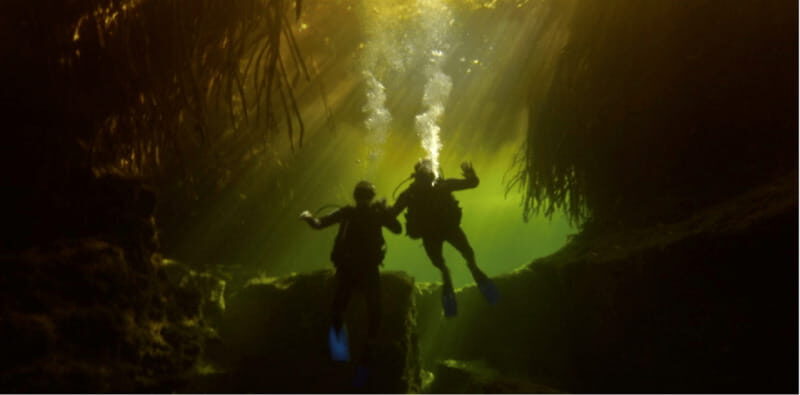 Quintana Roo: Cenote Dive - An Authentic Look at the Cenote Experience