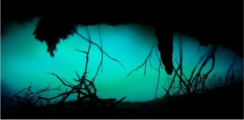 Quintana Roo: Cenote Dive - Final Thoughts