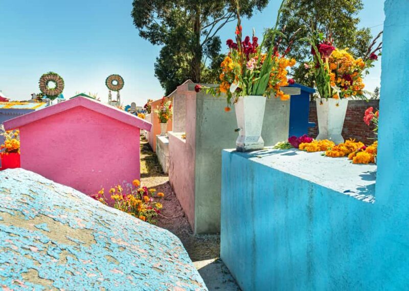 Quintana Roo: Sacred Souls Día de los Muertos Cultural Tour - Introduction: A Cultural Snapshot of Día de los Muertos in Cozumel