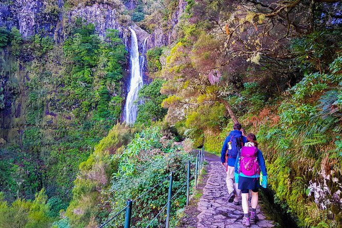 Rabaçal 25 Fontes Levada Walk in Small Groups - The Experience: A Deep Dive into the Rabaçal 25 Fontes Tour