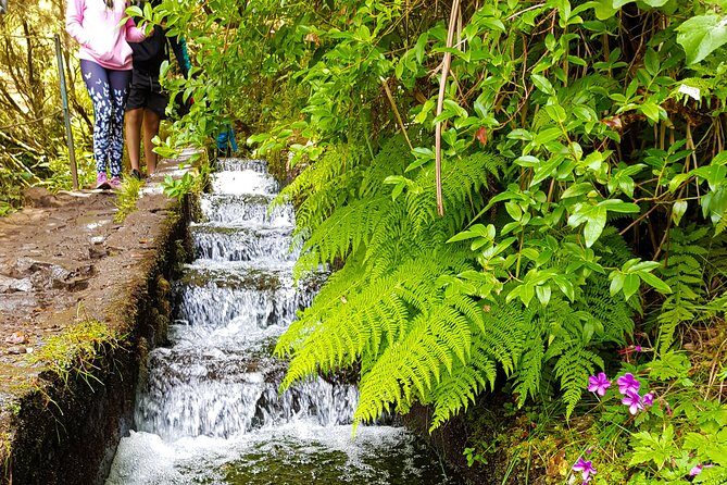Rabaçal 25 Fontes Levada Walk in Small Groups - The Sum Up