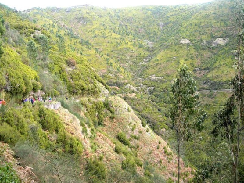 Rabaçal: 25 Fontes & Risco Levada Hiking Transfer - Key Points