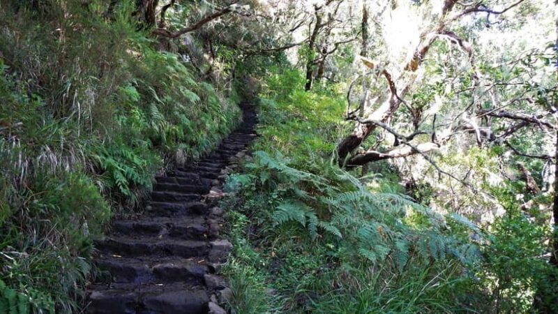 Rabaçal: 25 Fontes & Risco Levada Hiking Transfer - FAQs