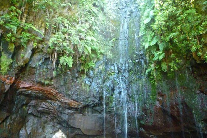 Rabaçal / 25 Fonts - Who Will Love This Experience?