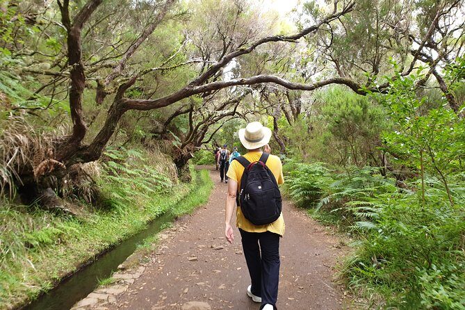 Rabaçal - 25 Fonts - An In-Depth Look at the Rabaçal - 25 Fonts Tour