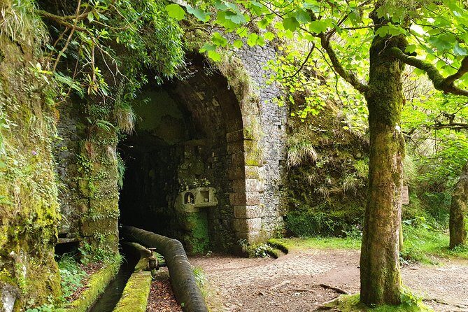 Rabaçal - 25 Fonts - The Sum Up