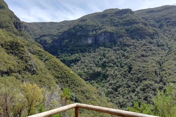 Rabaçal - 25 Fonts - FAQ