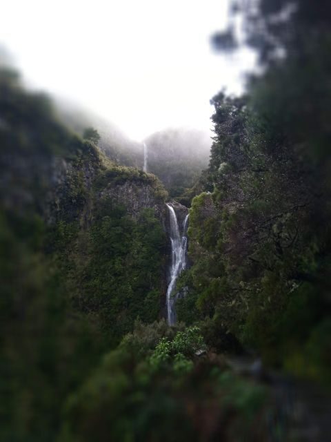 Rabaçal: Lagoa do Vento, Levada Risco and Levada 25 Fontes - Frequently Asked Questions