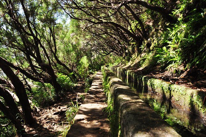 Rabaçal - Levada das 25 Fontes - FAQ