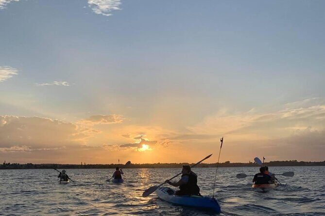 Raby Bay Wildlife Kayak Tour - What Recent Travelers Say