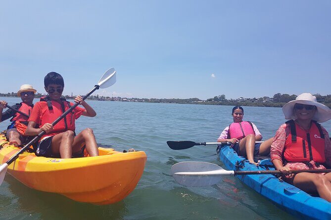 Raby Bay Wildlife Kayak Tour - The Sum Up
