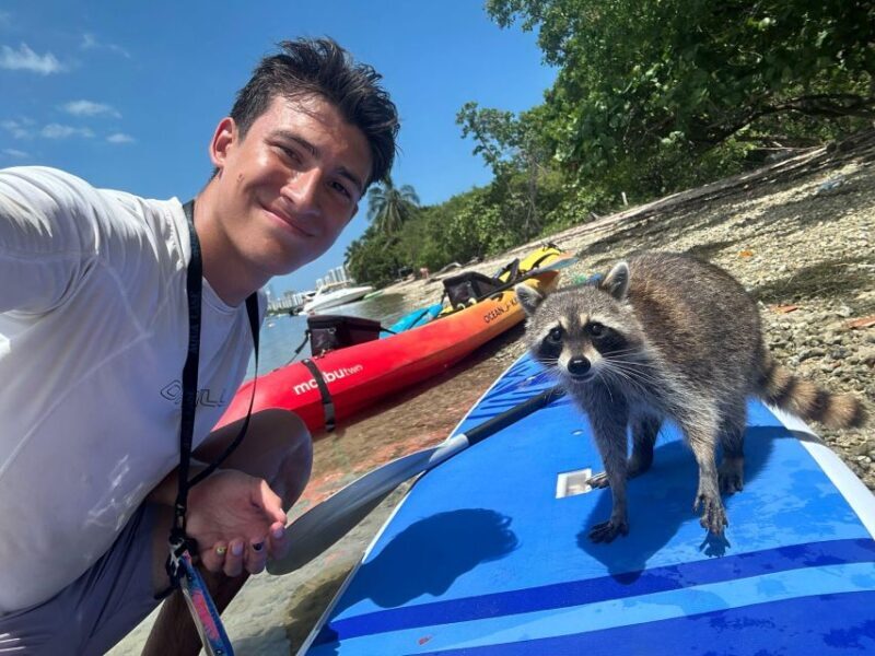 Raccoon Island: Exploration on SUP/Kayak - Key Points