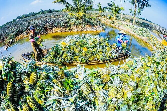 Rach Gia Authentic Bike Adventure Through Pineapple Villages - An In-Depth Look at the Tour