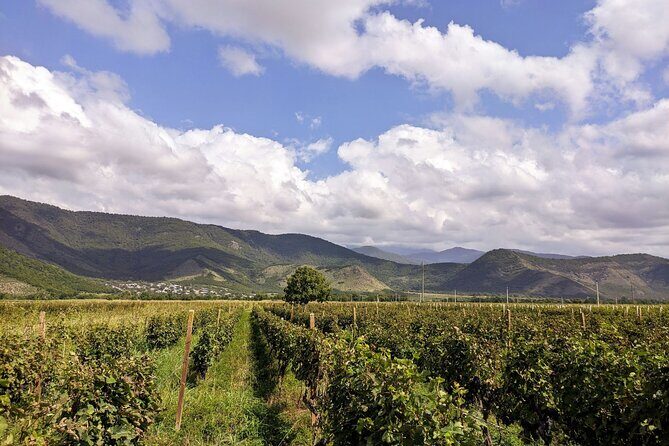 RACHA region with TSKHRAJVARI and wine tasting from Kutaisi - Tskhrajvari Mountain