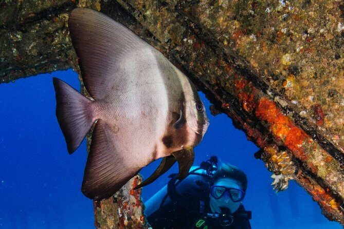 Racha Yai Dive Trip from Phuket - What Sets This Tour Apart