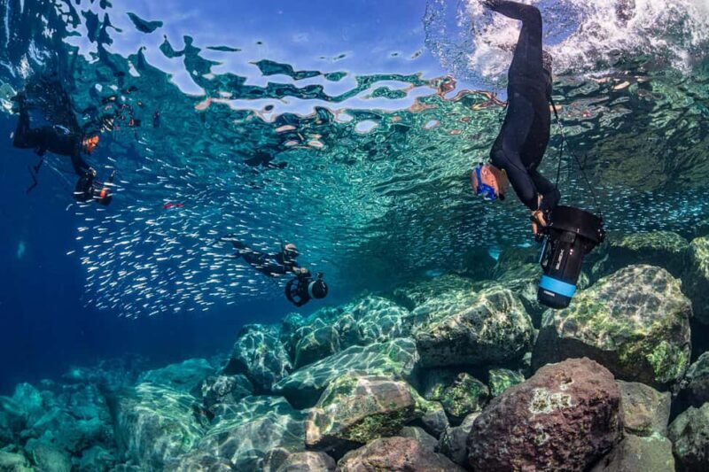 Radazul: Family-Friendly Jet Snorkeling Tour - Practical Details and Value