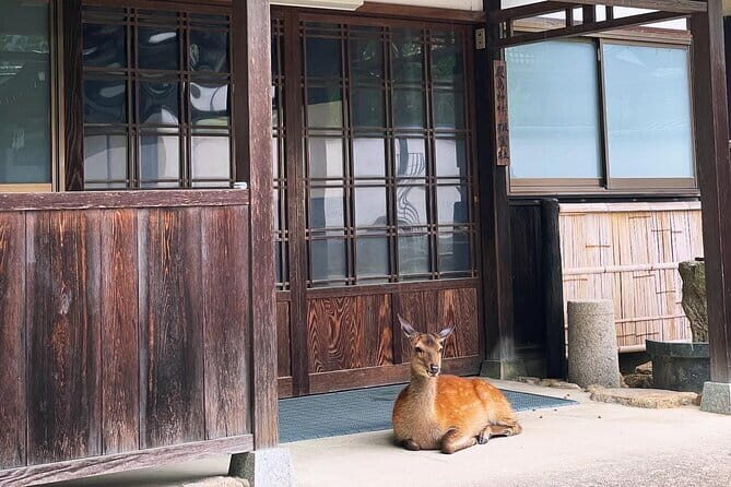 Raft Style Boat Tour with Lunch from Miyajima - FAQ