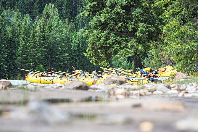 Rafting Adventure on the Kicking Horse River - Final Thoughts: Who Is This Tour Best For?