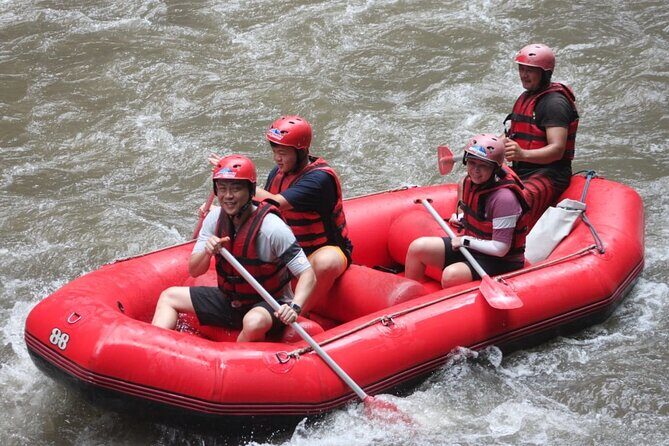 Rafting at Ayung River(Include Return Hotel Transportation) - An In-Depth Look at the Ayung River Rafting Experience