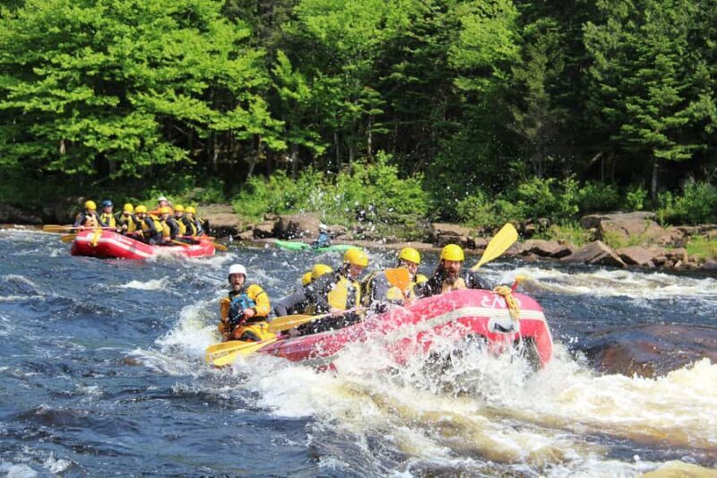 Rafting in Quebec City: A half-day of adventure and thrills! - Who Will Love This Experience?