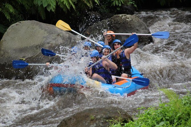 Rafting & Kintamani Volcano Tour - Key Points