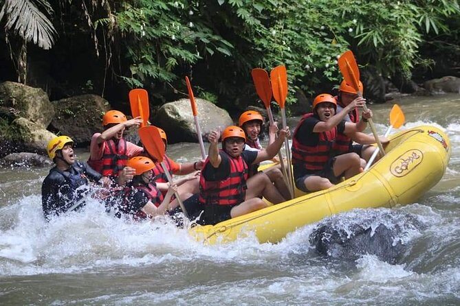 Rafting Swing Monkey Forest And Waterfall Tour All Inclusive - The Sum Up