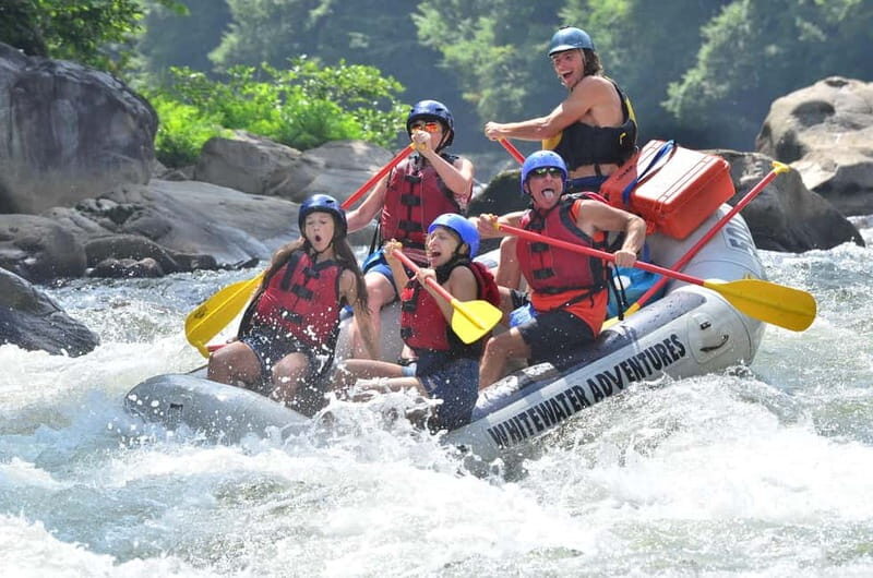Rafting Tour, Transfer & Combo Options with Veg Lunch Option - Key Points