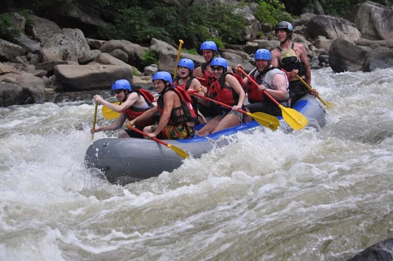 Rafting Tour, Transfer & Combo Options with Veg Lunch Option - What You Can Expect from the Tour
