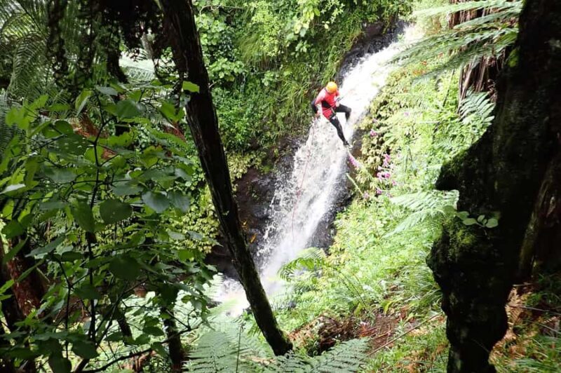 Raglan: Karioi Canyoning - Key Points