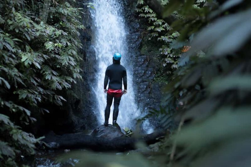 Raglan: Karioi Canyoning - Who Will Love This Tour?