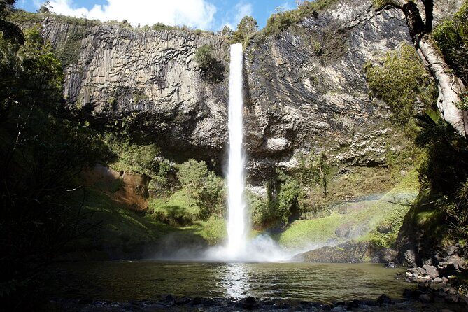 Raglan New Zealand Adventure Tour from Auckland - Who Is This Tour Best For?