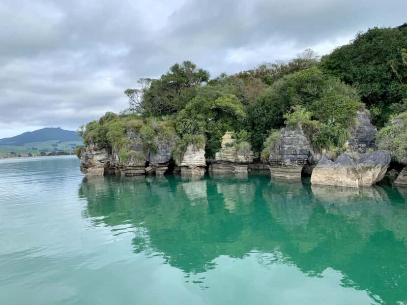 Raglan: Scenic Harbour Sunset Cruise - Authentic Experiences from Travelers